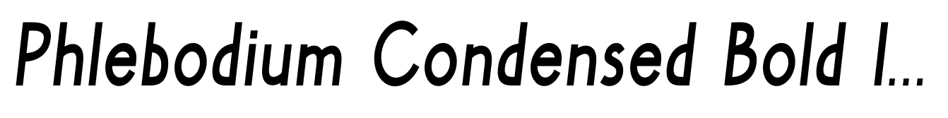 Phlebodium Condensed Bold Italic